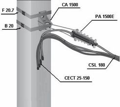 ����� ������� ������