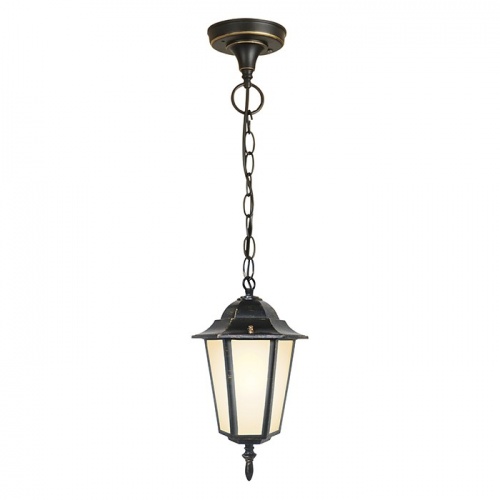 ���������� ������-�������� Elektrostandard GL 1004H �27 100 �� ������ ������