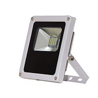 ��������� ������������ TDM ���10-2-� 10W 6500K IP65 �����