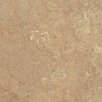 ���������� ���� Standart PRO- 136� �������� 3050�600�38 ��