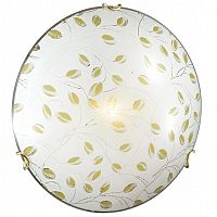 ���������� ��������-���������� Sonex Etra 123/K ������ E27 2�60W 220V