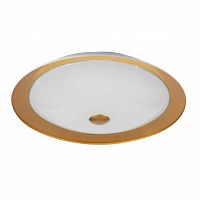 ���������� ���������� Maytoni Euler CL815-PT50-G ������ LED 24W 220V