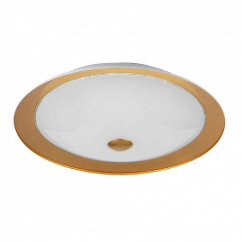 ���������� ���������� Maytoni Euler CL815-PT50-G ������ LED 24W 220V