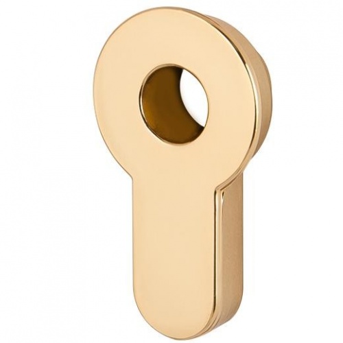 ������� ��� ���� Armadillo ��� Cylinder Gold-24