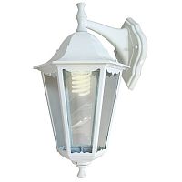 ���������� ������-�������� Feron 6102 �� ����� ���� E27 60 �� �����