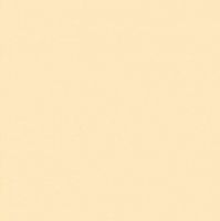 ���������� ���� Standart PRO- 159� �������� 3050�600�38 ��