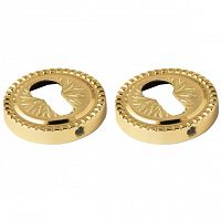 �������� ��� ������� Armadillo Cylinder ET/CL-Gold-24