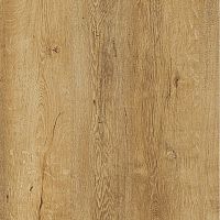 ���������� ���� Premium+ 429� ��� ������� 3050�600�38 ��