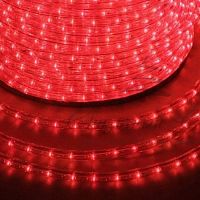   Neon-Night 121-122  LED    100 