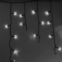   Neon-Night 255-032    24060 