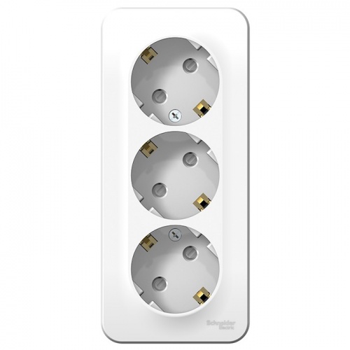  Schneider Electric Blanca BLNRA011311          