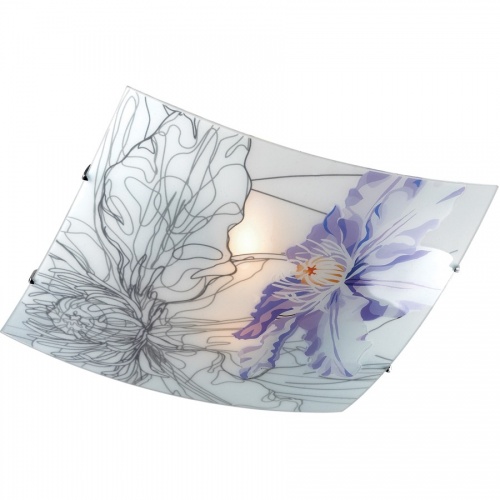 ���������� ��������-���������� Sonex Iris 2230 ������ E27 2�60W 220V