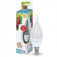 ����� ������������ ASD Standard ����� �� ����� 5W �14 4000�