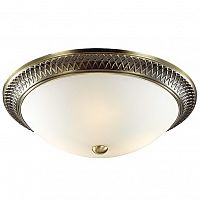 ���������� ��������-���������� Sonex Praim 4304 ������ E27 3�60W 220V