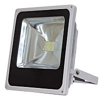 ��������� ������������ TDM ���50-2-� 50W 6500K IP65 �����