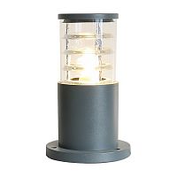 ���������� ������-�������� Elektrostandard 1508 Techno �27 20 �� �����