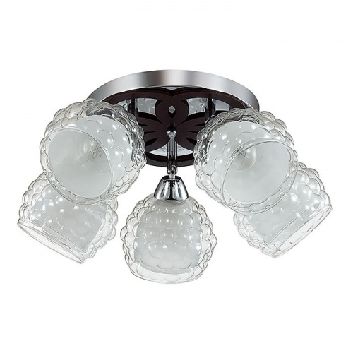 ������ ���������� Lumion Federro 3058/5C ���� E14 5�60W 220V