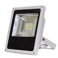 ��������� ������������ TDM ���20-2-� 20W 6500K IP65 �����