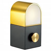 ���������� ����� ������������ Odeon Light Tram 4081/3TL ������/���������/����� 3W 220V