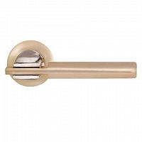 ����� ������� Palladium � Rio SG/CP