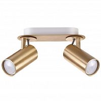 ���� Odeon Light Kiko 3876/2C ���������� GU10 2�50W 220V