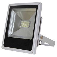 ��������� ������������ TDM ���30-2-� 30W 6500K IP65 �����