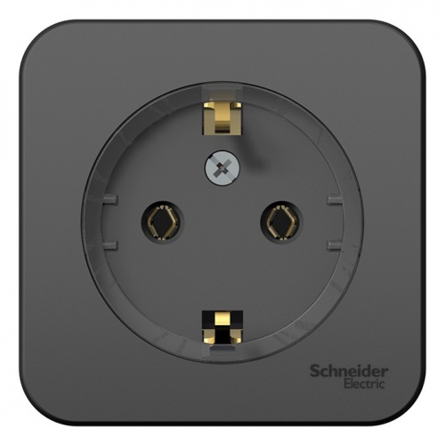  Schneider Electric Blanca BLNRA110116        