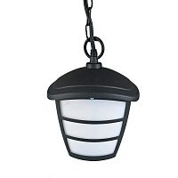 ���������� ������-�������� Duwi Wien 28916 6 ��������� 871 ��