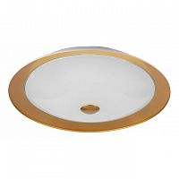 ���������� ���������� Maytoni Euler CL815-PT42-G ������ LED 18W 220V