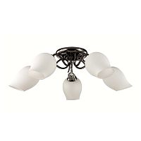 ������ ���������� Lumion Rondina 3076/5C ������ E27 5�60W 220V