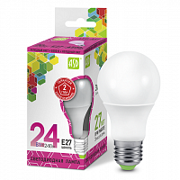 ����� ������������ ASD Standard A60 24W �27 6500�