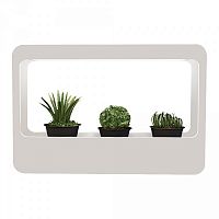 ���������� ������������ Gauss ����-��� Basic MG004 � ���������