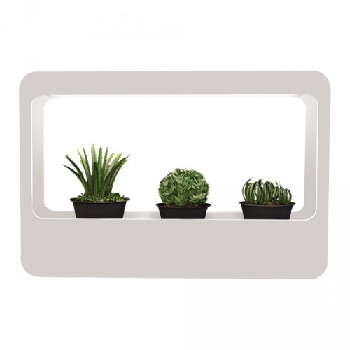 ���������� ������������ Gauss ����-��� Basic MG004 � ���������