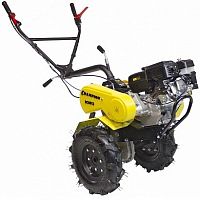 �������� ���������� Champion BC9813