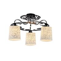 ������ ���������� Maytoni Melvil TOC012-03-N ����� E14 3�40W 220V