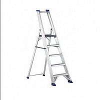 ��������� Svelt Regina 12