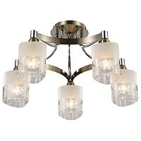 ������ ���������� Maytoni Tasmania TOC003-05-R ����� E14 5�40W 220V