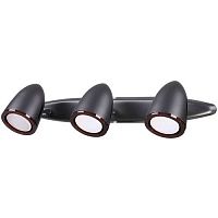 ���� Odeon Light Imagio 3824/2W ������ c ���� GU10 3�50W 220V