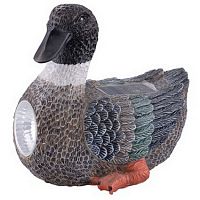 ���������� ������������ ����������� TDM ��-095 ������ �� ��������� �������