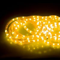 ���� ������������ SHlights 4690601005816 �������� ������ ���� 600 ��