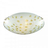 ���������� ��������-���������� Sonex Etra 223 ������ E27 2�100W 220V