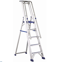 ��������� Svelt Regina Special 10