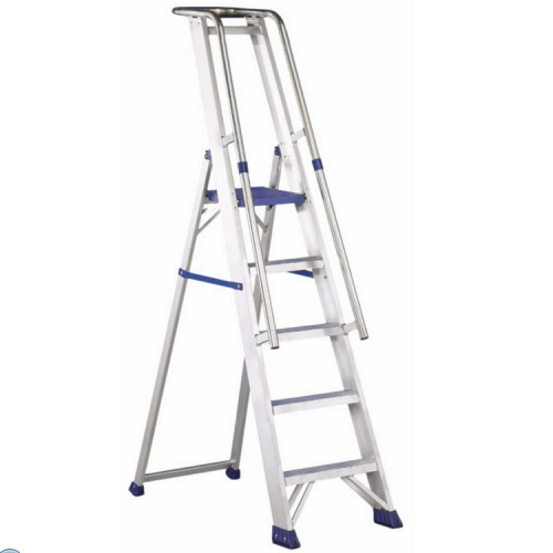 ��������� Svelt Regina Special 10