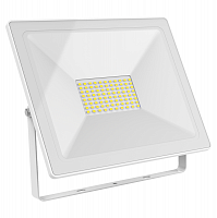 ��������� ������������ Gauss 613120300 100W IP65 6500� �����