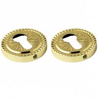 �������� ��� ������� Armadillo Cylinder ET/CL-GP-2