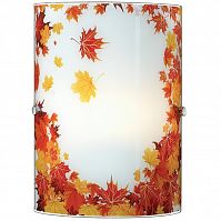 ��� Sonex Autunno 1254 ���� E27 60W 220V