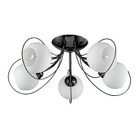 ������ ���������� Lumion Aria 3083/5C ������ E14 5�40W 220V