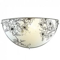 ��� Sonex Forti 1211 ����� E27 60W 220V