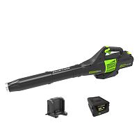 ���������� �������������� Greenworks GD60ABK2 � ������������� 2 �.� � �������� �����������