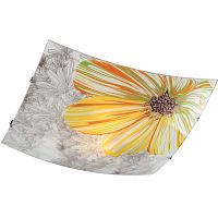 ���������� ��������-���������� Sonex Treza 2234 ������ E27 2�60W 220V